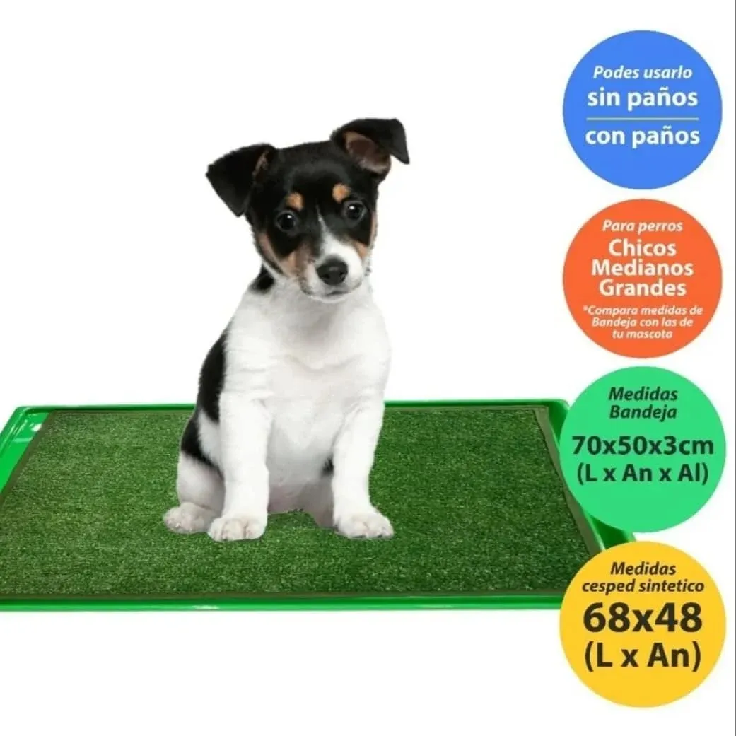 Cachorro sentado sobre la carpeta de césped sintético Master Pet Max, con o sin paño, para perros chicos, medianos y grandes