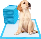 Cachorro de labrador sentado sobre un paño sanitario Master Pet, al lado de una pila de paños