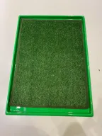 Bandeja verde de la carpeta Master Pet con el césped sintético puesto, vista desde arriba