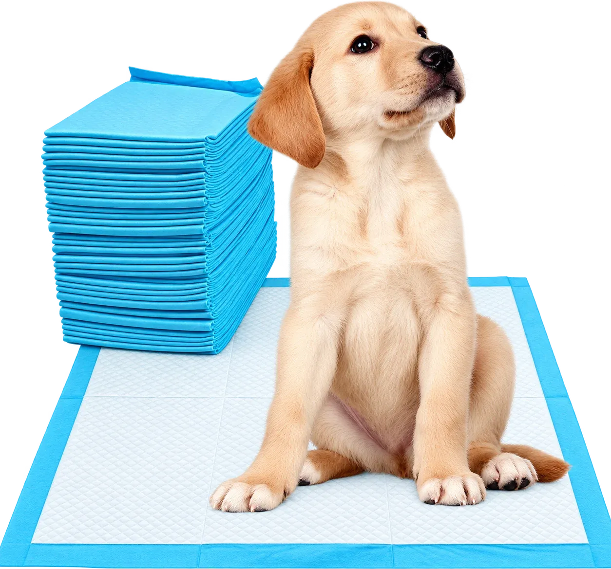 Cachorro labrador junto a una pila de paños